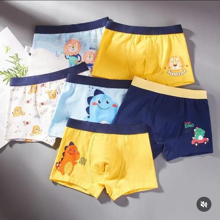 6-Pack Kids boxers